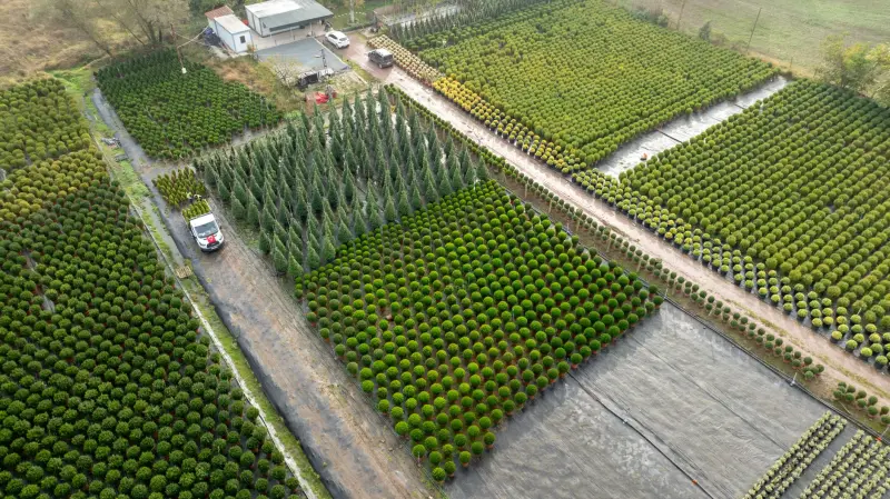 上网行为管理设备在政企网络中的部署与流量控制实践