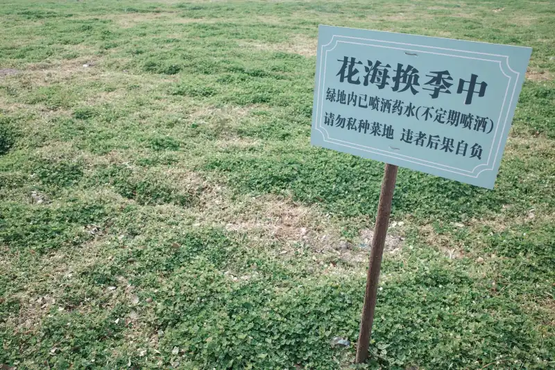 链路聚合器技术对比：提升太原企业网络带宽利用率的实战策略