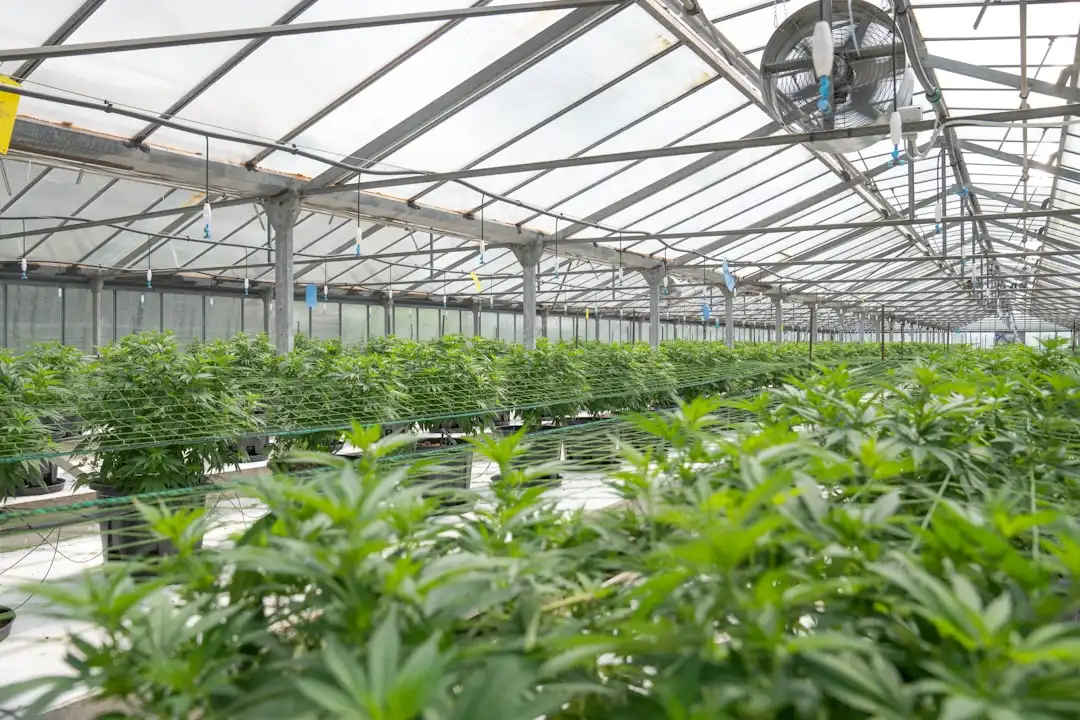 企业网络性能优化:链路聚合与负载均衡技术解析