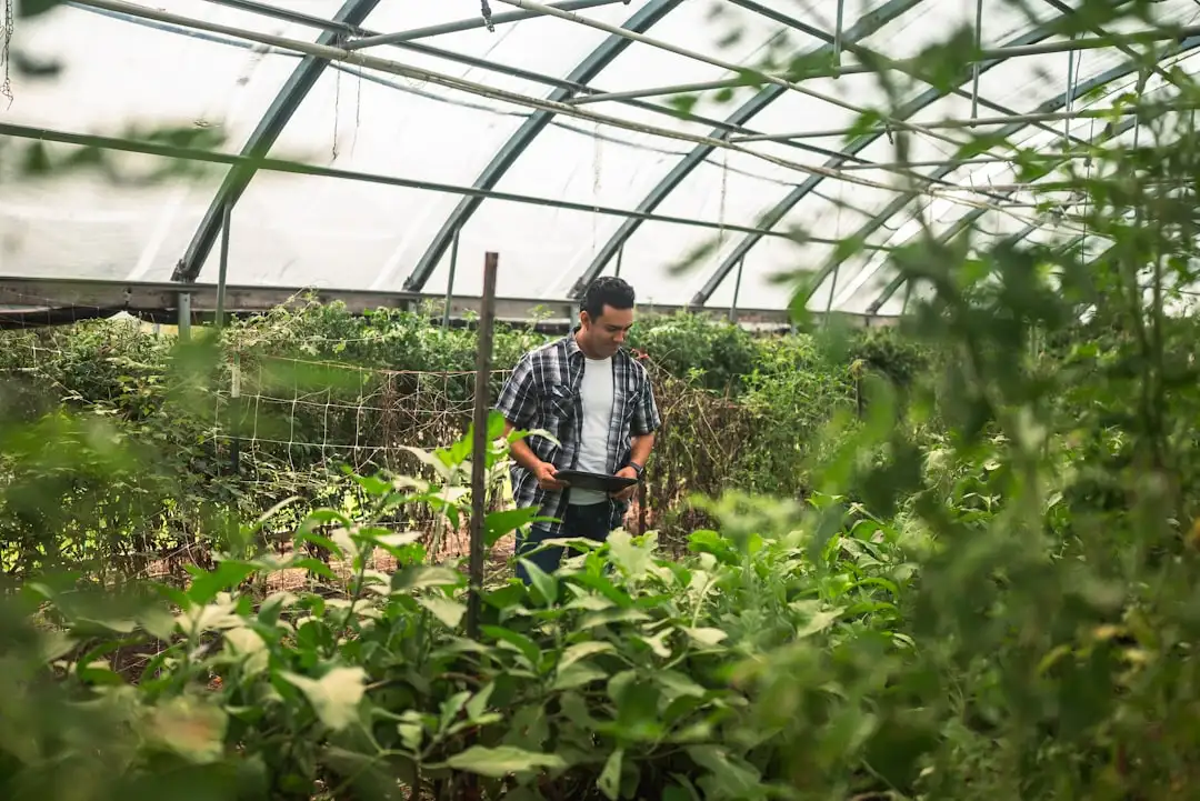 上网行为管理与流量控制设备技术优势解析