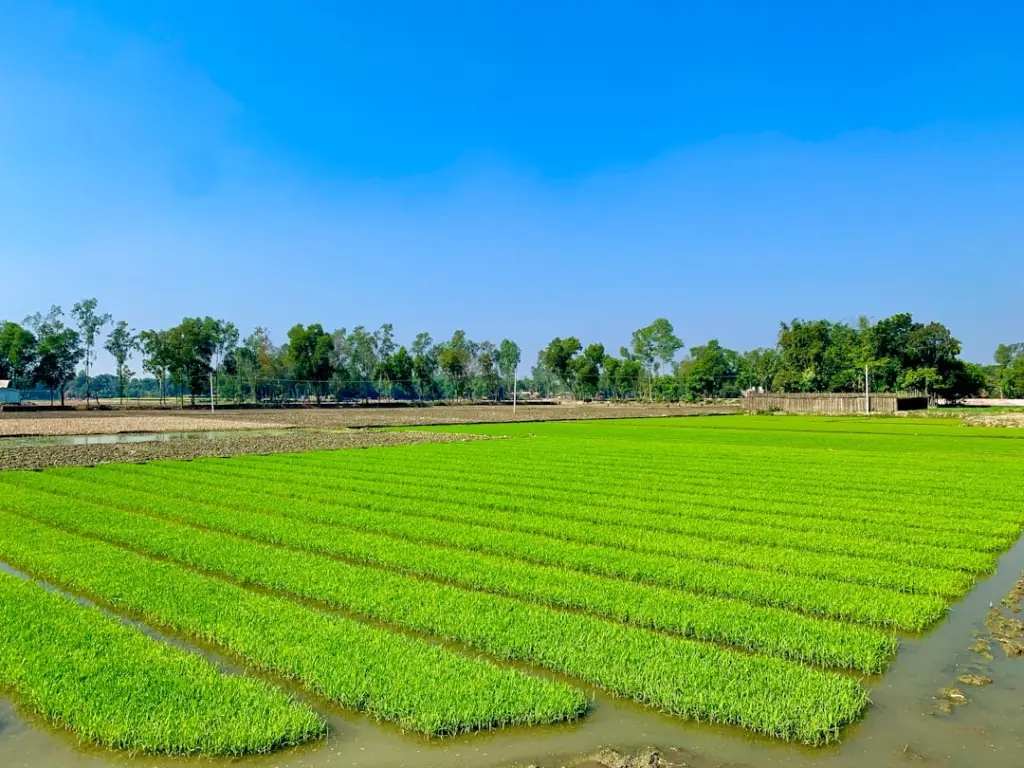山西政企网络升级新方案：链路聚合与负载均衡组合应用实践