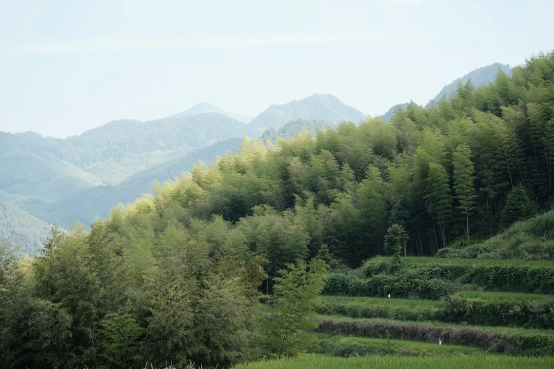 上网行为管理与流量控制设备选型要点：太原政企网络优化实践参考