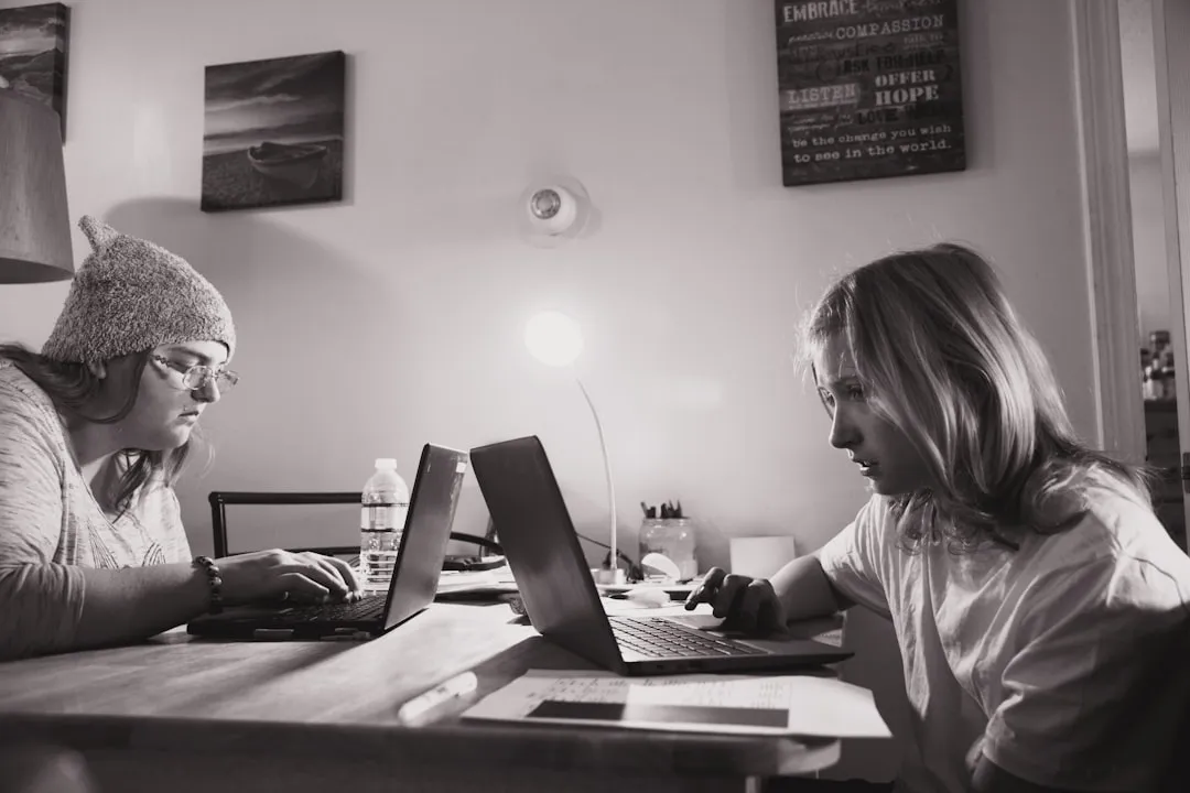负载均衡器与链路聚合器在政企网络中的协同部署解析