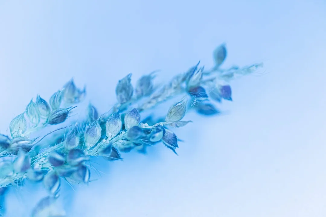 上网行为管理与流量控制设备技术参数横向评测