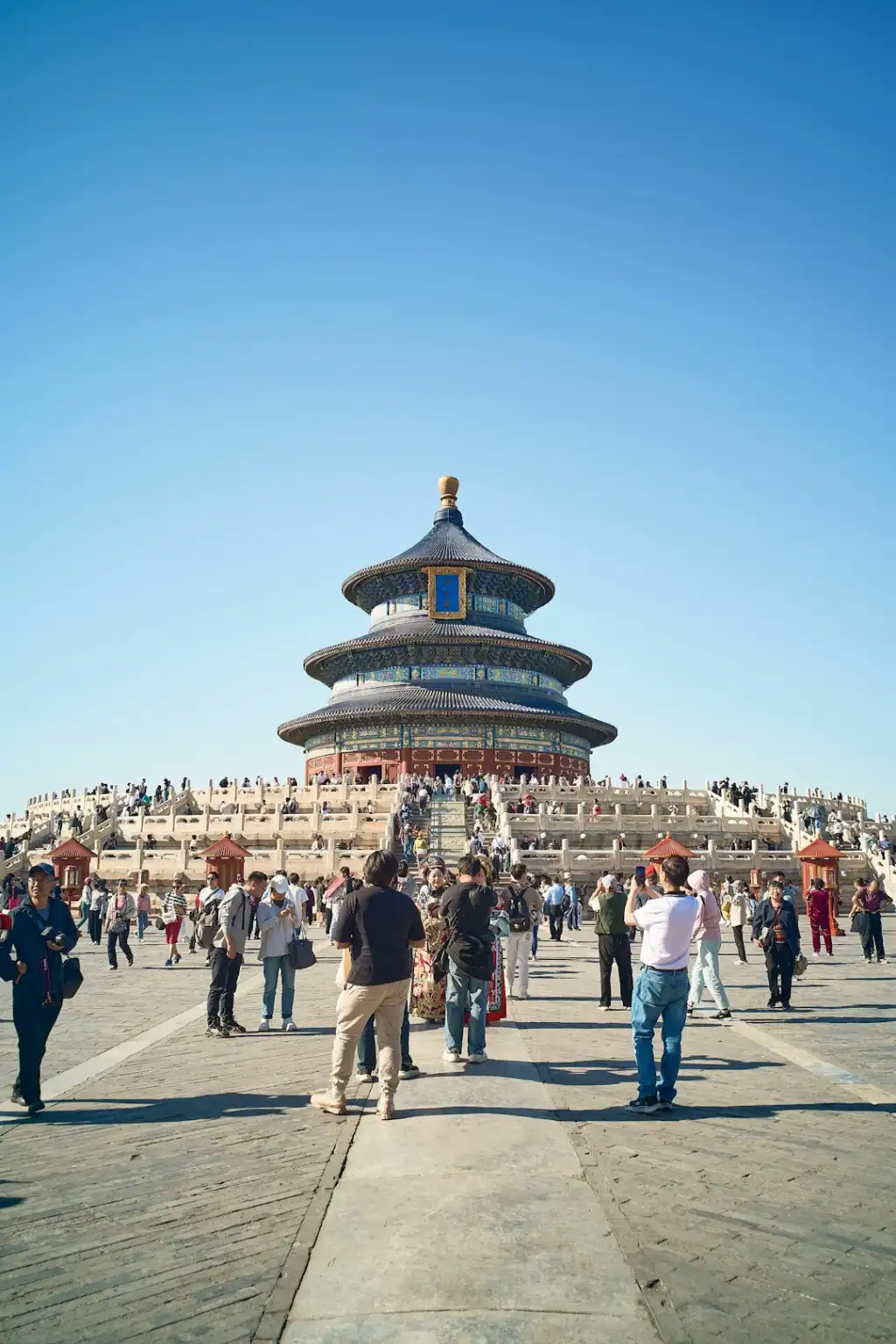 负载均衡器与链路聚合器在政企网络中的协同部署解析