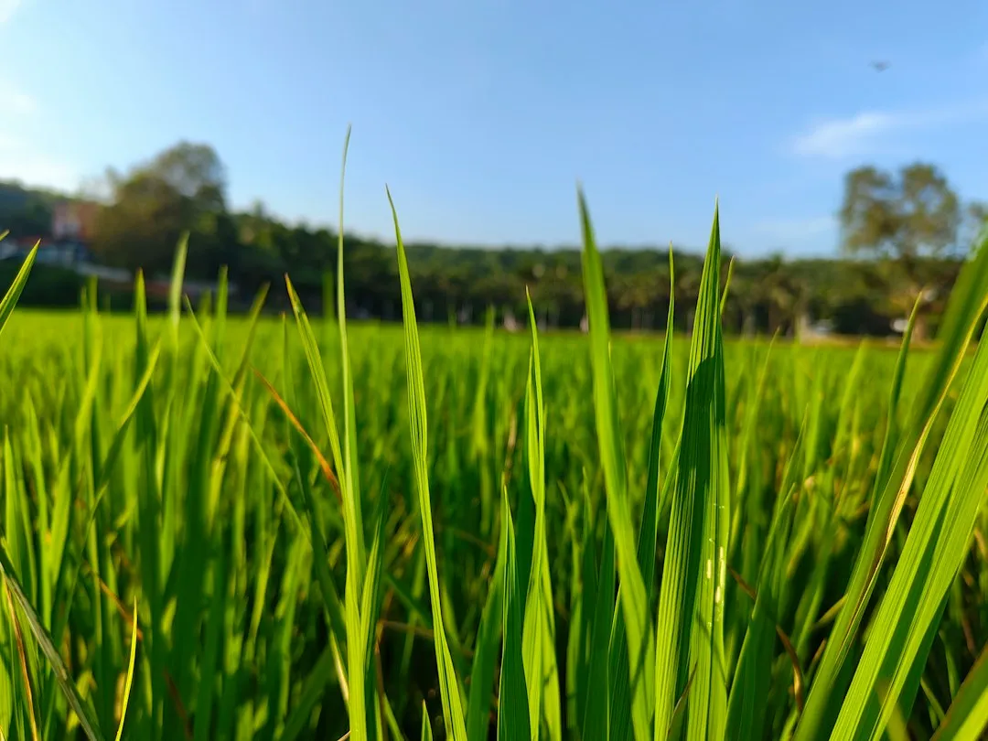太原政企网络负载均衡器与链路聚合器选型指南